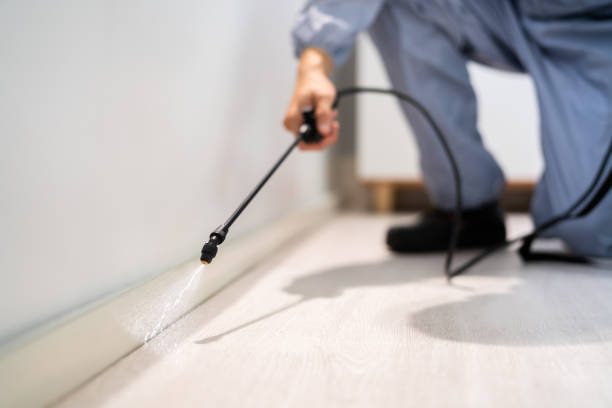 Bed Bug Pre-Treatment Preparation Assessment in Meridianville