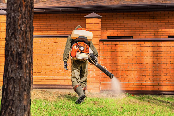 Bed Bug Clearance Verification and Documentation in Meridianville